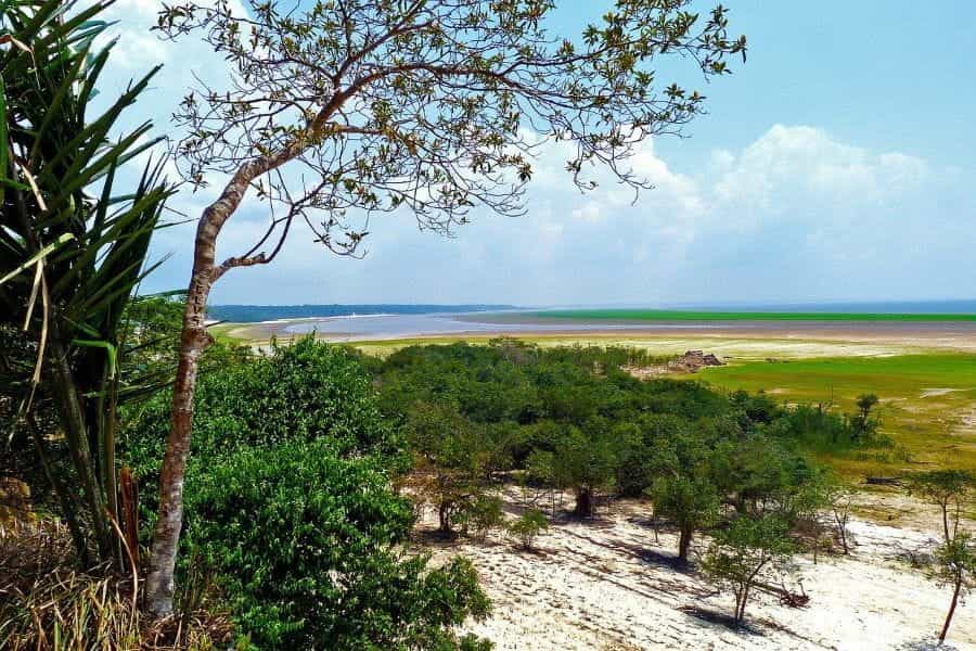 An edge of the Amazon rainforest.