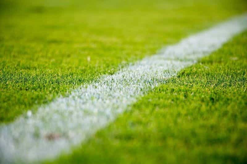 Outlines of a football pitch.