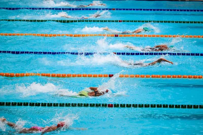 Competitive swimmers race in a pool.