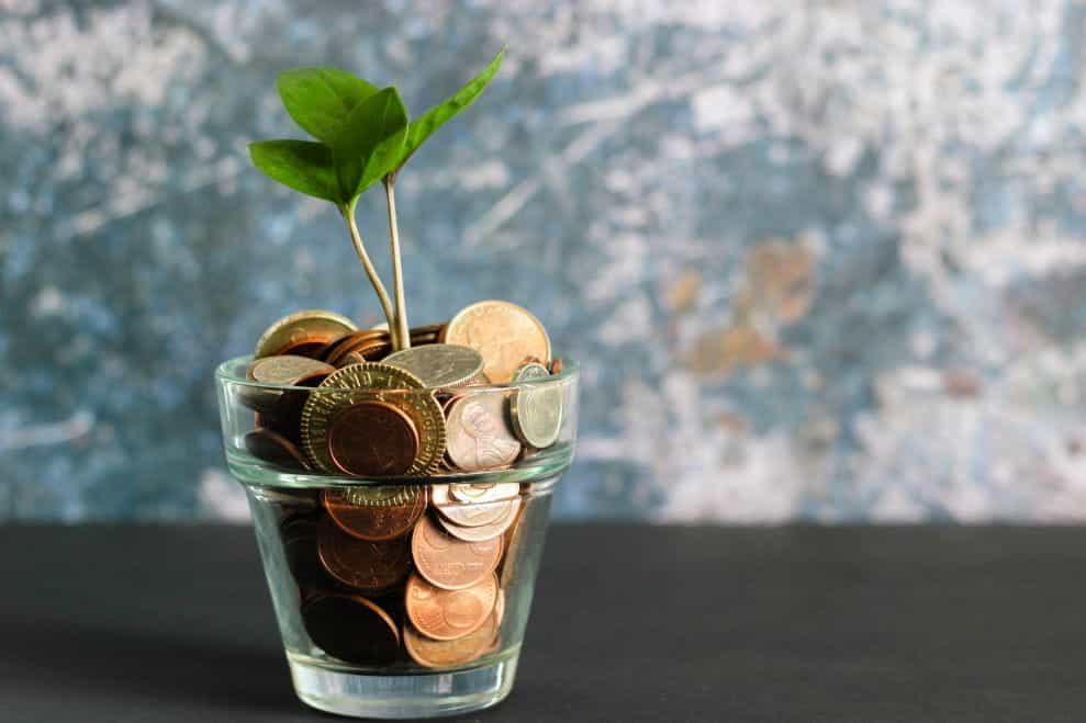 A glass full of coins with a plant growing out of it.