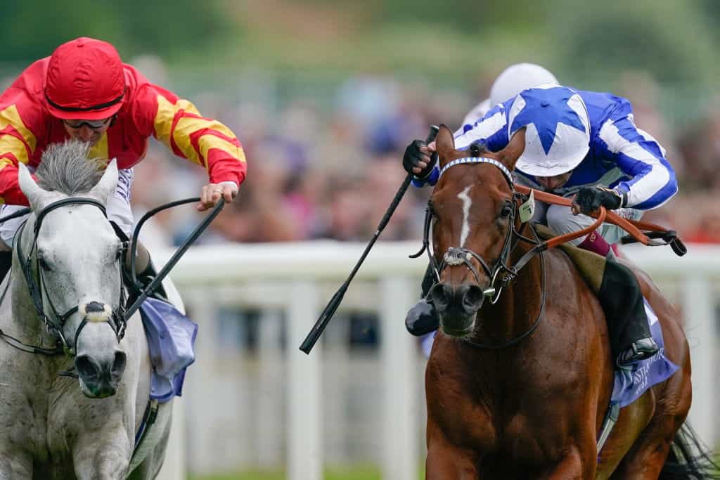 Oisin Murphy drives The Foxes hard to win the 2023 Dante Stakes at York Racecourse.